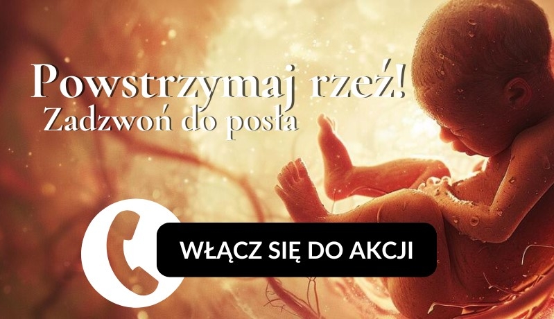 W obronie dzieci, w obronie Ojczyzny. Akcja „Zadzwoń do posła” i marsz na Sejm