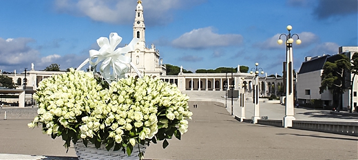 Ofiarowaliśmy Maryi 1000 białych róż! Druga edycja kampanii „Niepokalane Serce Maryi, powierzam Tobie moje życie!”