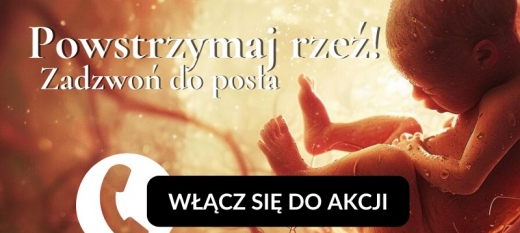 W obronie dzieci, w obronie Ojczyzny. Akcja „Zadzwoń do posła” i marsz na Sejm