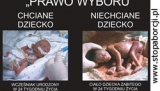 Stalowa Wola: kolejny atak na wystawę &rdquo;Wybierz życie&rdquo;