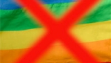 USA: Urząd Statystyczny zawyżył o 40 proc. dane dot. ilości &rdquo;homo-gospodarstw&rdquo;
