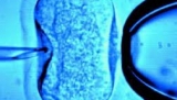 Podatnicy sfinansują in vitro 