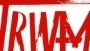 Telewizja Trwam wsparta przez europosłów, Polonię i obrońców praw człowieka